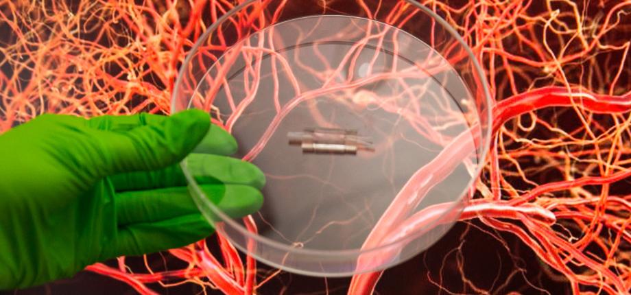 Biomedical engineering symposium: what projects at the IP Paris level?