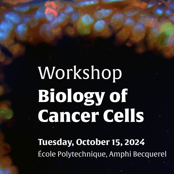 Workshop Biology of Cancer Cells 2024