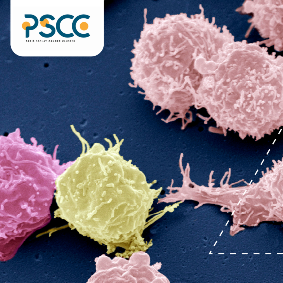Paris-Saclay Cancer Cluster and Institut Polytechnique de Paris: innovation in battle against cancer